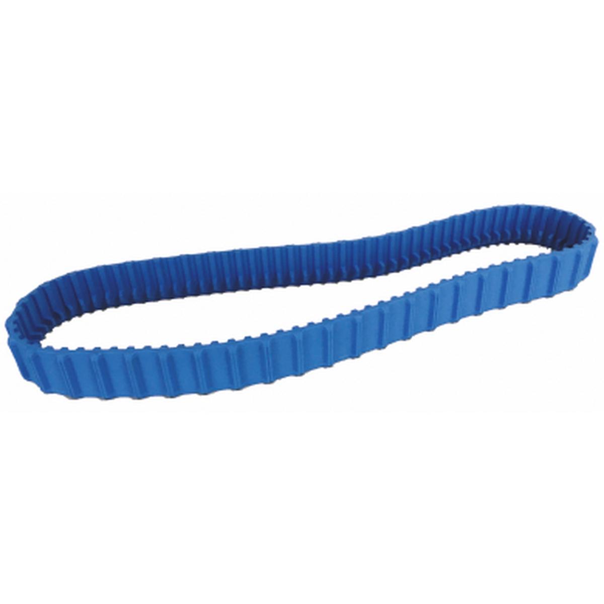 Laufraupe für S100/S200/S300i - Hytek Pool Shop